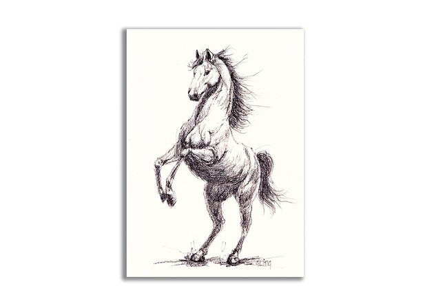 grafiki i ilustracje Grafika ręcznie malowana "Koń"