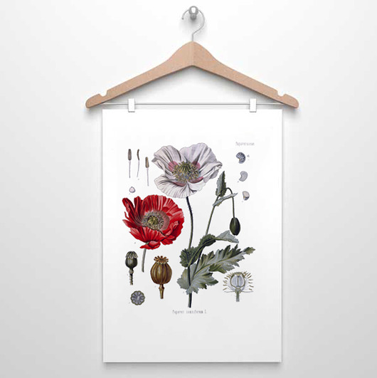 plakaty MAK ZIELNIK plakat  A4, A3, 30X40