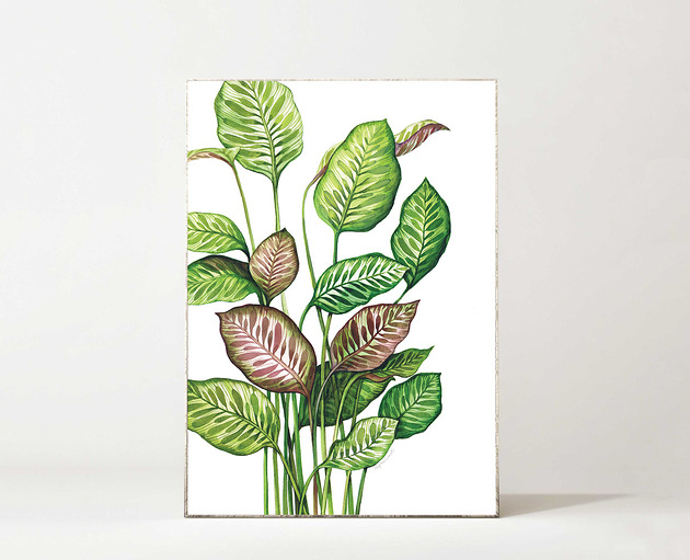 Plakat Calathea Regina Land Atelier