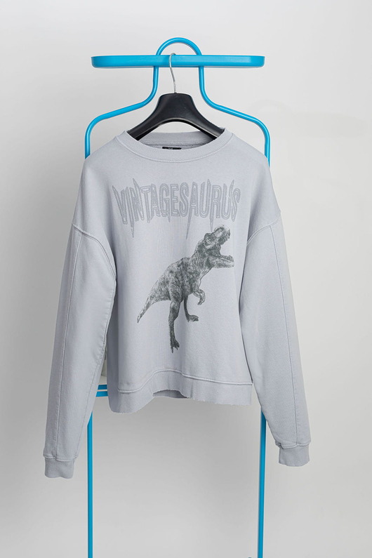 bluza bez kaptura damska Bluza Vintagesaurus Grey Sky