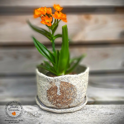 doniczki Ładna Doniczka ceramiczna z podkładką