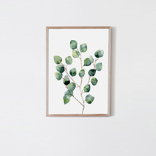 plakaty Plakat - Eukaliptus akwarela A4