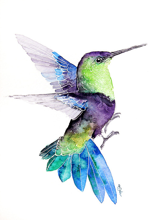 Koliber w locie - plakat, reprodukcja 30x40cm Karolina Kijak