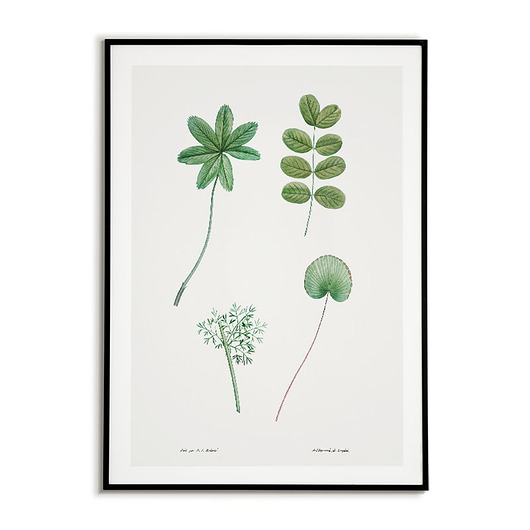 Plakat botaniczny Tablica z liście drzew Bajkowe Obrazki