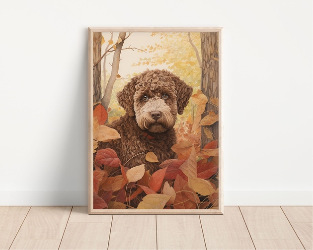 plakaty Plakat lagotto romagnolo