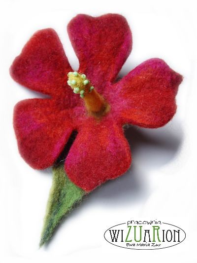 Hibiskus wiosenny WIZUARION