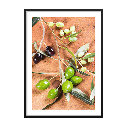 GREEN & BLACK OLIVES, POSTER - Różne rozmiary mermer