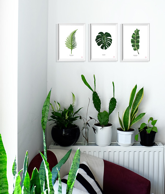 zestaw 3 plakatów LIŚCIE 02 15 x 21 cm loonybin