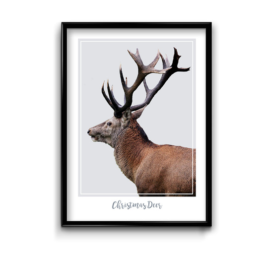 plakaty Plakat Christmas Deer