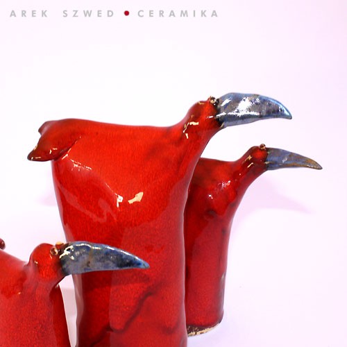 czerwona trojka Arek Szwed