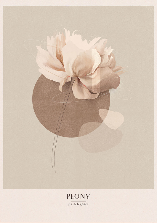 grafiki i ilustracje Ilustracja PEONY