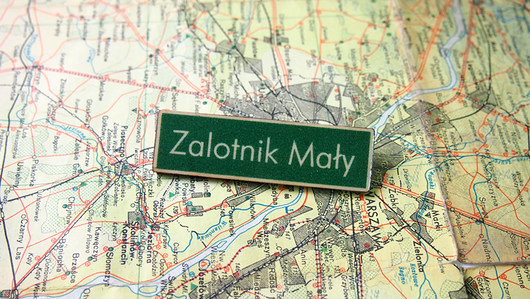 Broszka Miasto Zalotnik Mały Made in Forest