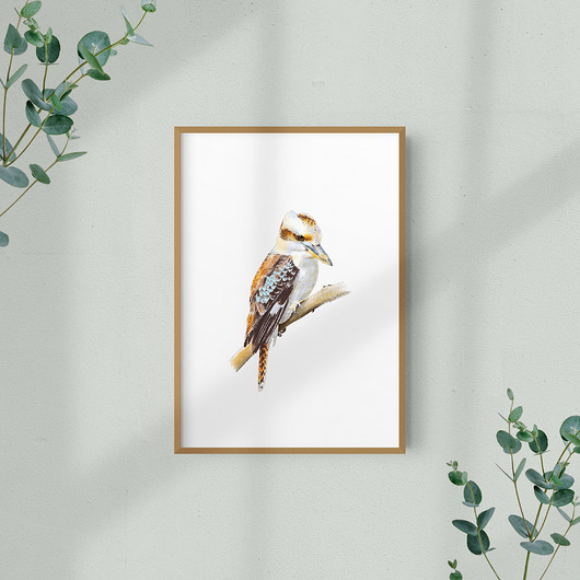 grafiki i ilustracje Ilustracja ptaka - kukabura chichotliwa