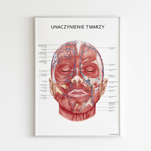 plakaty Plakat Unaczynienie Twarzy