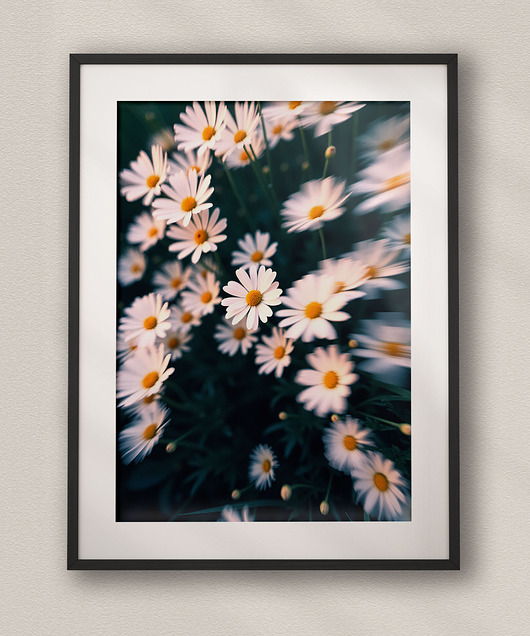 plakaty Plakat Białe kwiaty - Aesthetic Dreamcore Art