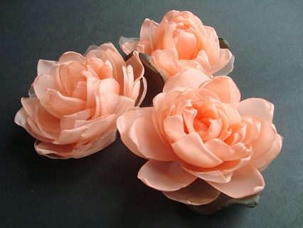 PUDROWA BRZOSKWINKA__Z... SPECJALNE SundayRose