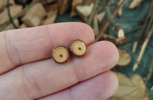 Rezerwacja - Kolczyki "Prosto z drzewa" MyPieceOfWood