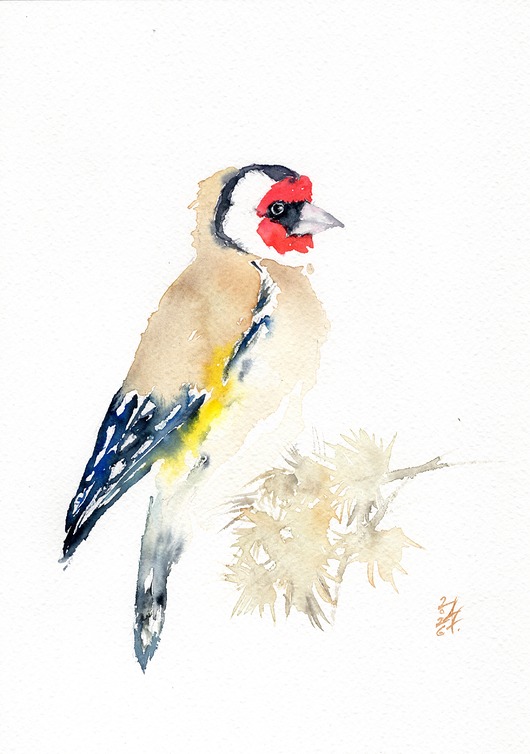 obrazy Oryginalna akwarela. Szczygieł