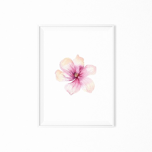 Plakat skandynawski botaniczny Magnolia myscandi