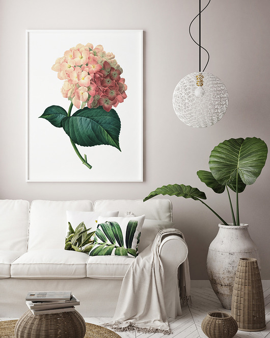 Hortensja - plakat  HOG STUDIO
