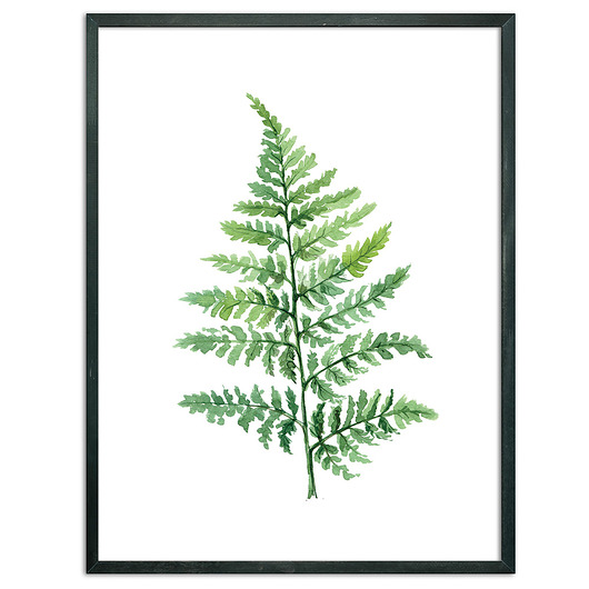 Plakat LIŚĆ PAPROCI DEKOSKA