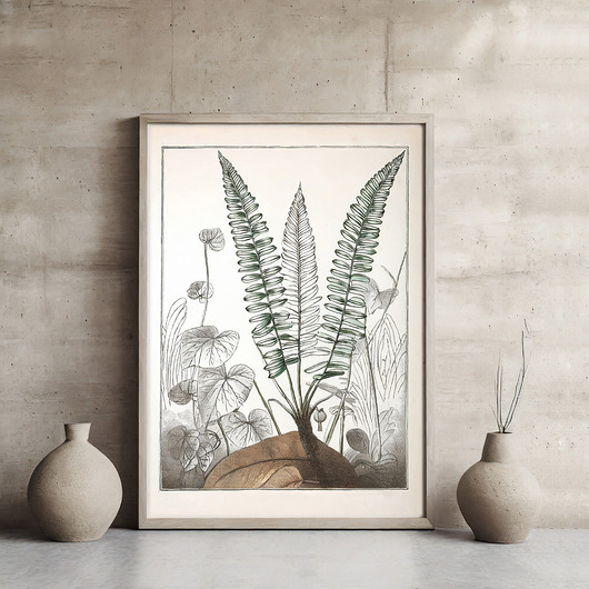 plakaty Plakat botaniczny