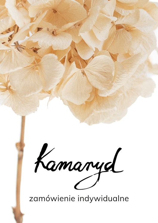 srebrne naszyjniki Naszyjnik SIMPLE No. 3 zamówienie indywidualne