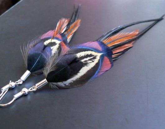 sparrow Stella