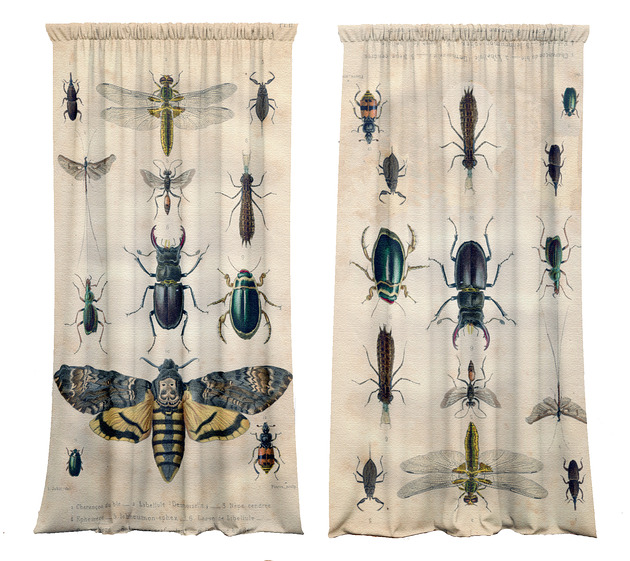 zasłony Zasłony artystyczne zaciemniające 2 szt  Insect