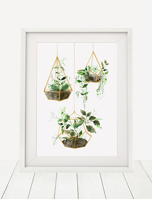 ilustracja botaniczna | A3 Anita Tomala