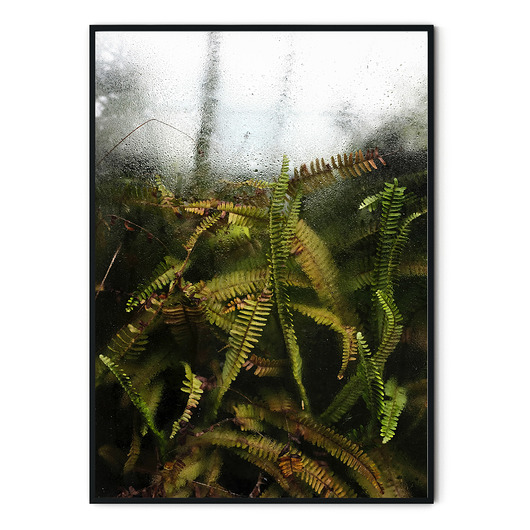 Plakat botaniczny Szklarnia no. 2 myscandi