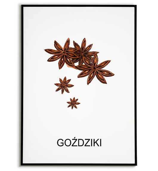 plakaty Plakat  GRAFIKA GOŹDZIKI warzywa ZIOŁA