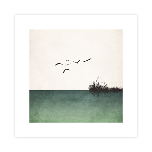 plakaty Birds I Plakat