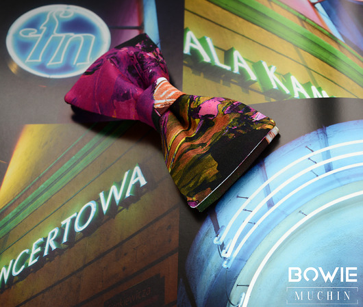 BOWIE - kolorowa mucha MUCHIN