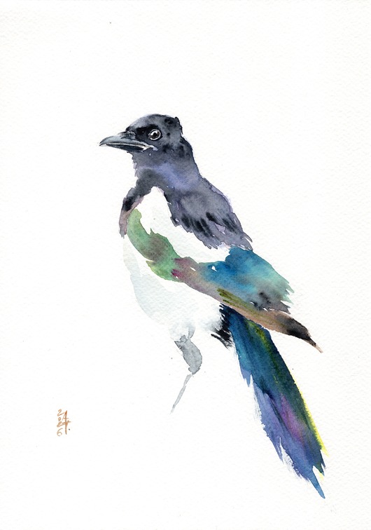 obrazy Oryginalna akwarela. Sroka