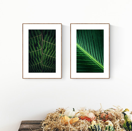 Zestaw plakatów FERN I LEAF CLOSE-UP 40X50 cm MUKKO