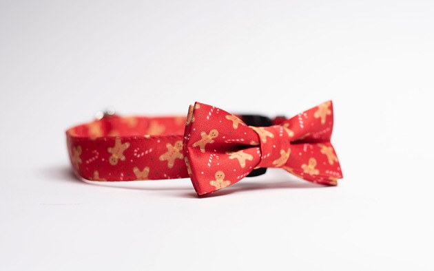 smycze i obroże dla psów i kotów Obroża z muszką RED GINGERBREAD
