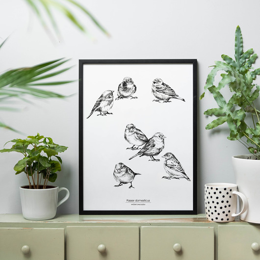 Wróbel zwyczajny - plakat beata sketches