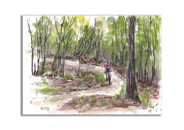 grafiki i ilustracje Rower MTB, góry. Jesenik. Grafika ręcznie malowana