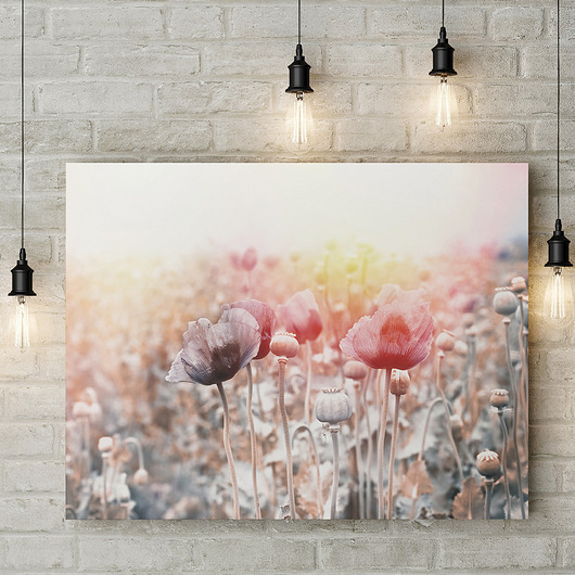 obrazy Obraz Maki 120 x 90 cm Wydruk na płótnie