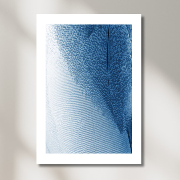 plakaty Plakat Blue Feathers