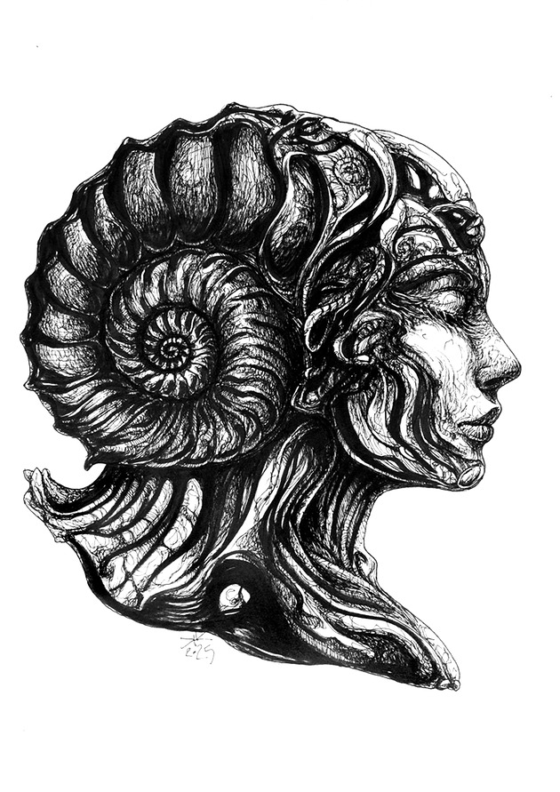 grafiki i ilustracje Szum oceanu Paua *rysunek piórkiem