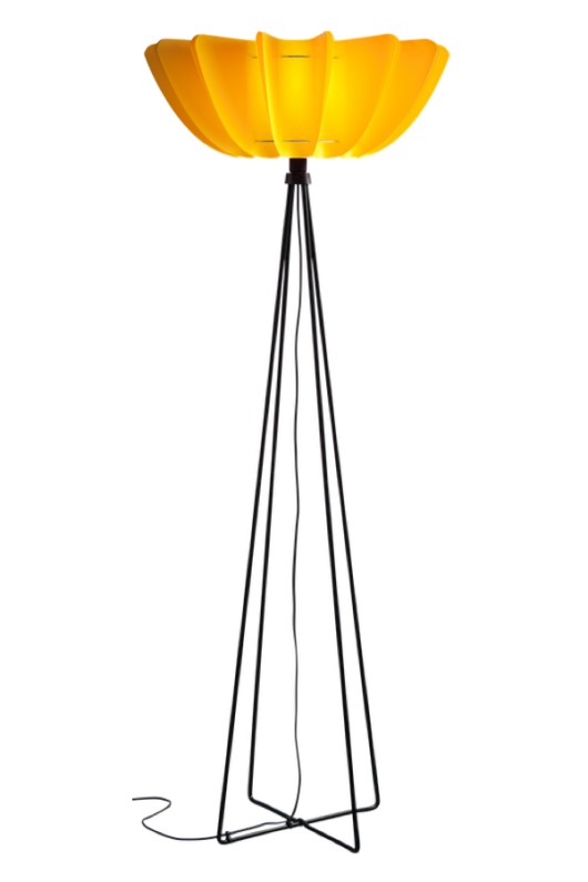 Salsa Norla Design