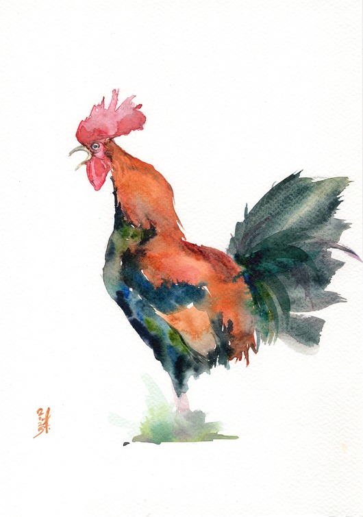 obrazy Oryginalna akwarela. Kogut
