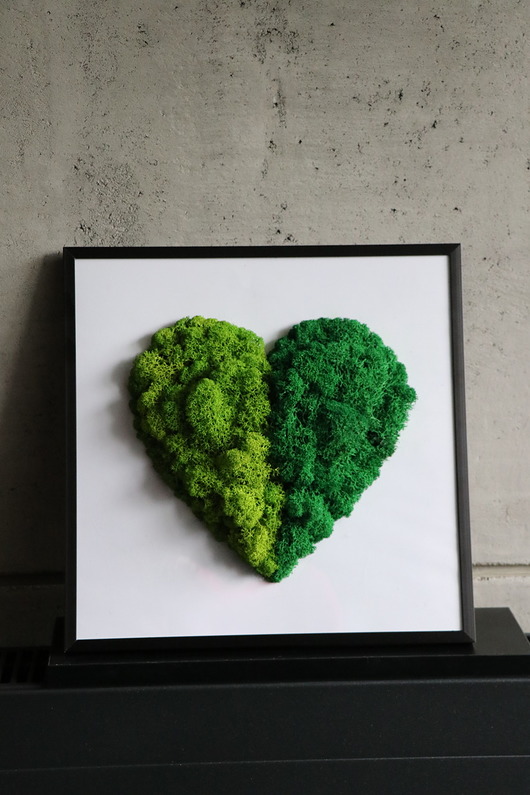obrazy Żywy Obraz z mchu chrobotka rama 30x30 serce