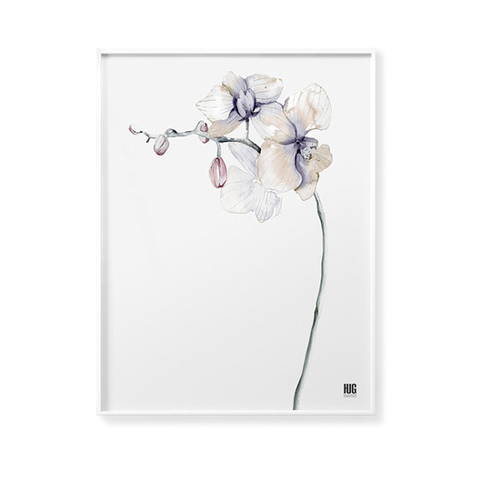Plakat Kwiat Orchidei Hug The Stuff