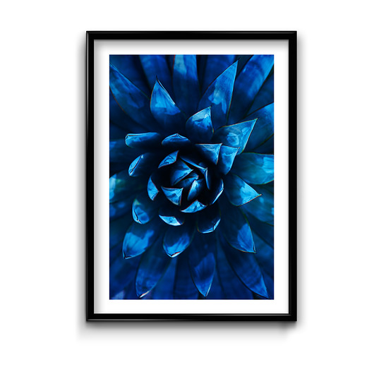 Plakat Navy Blue #1  Bury Lis