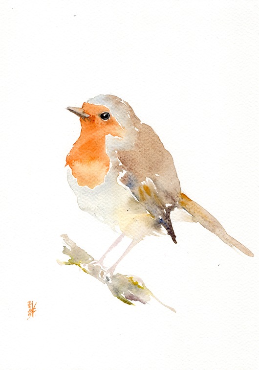 obrazy Oryginalna akwarela. Rudzik