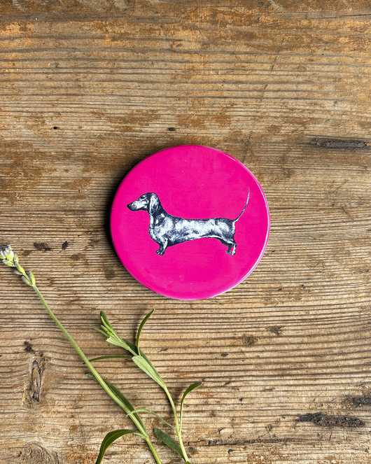 magnesy Jamniczek- Jamnik- Magnes ceramiczny- Ilustracja- Zwierzaki