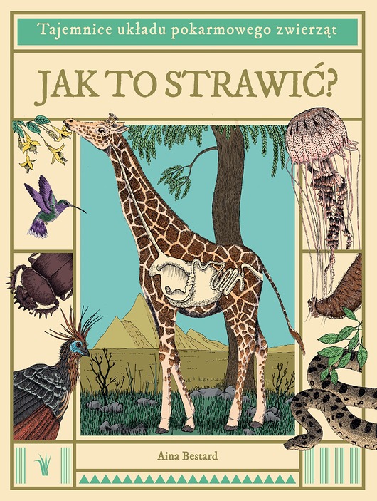 książeczki dla dzieci Jak to strawić? Tajemnice układu pokarmowego zwierząt